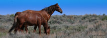insbrokerage009004.jpg